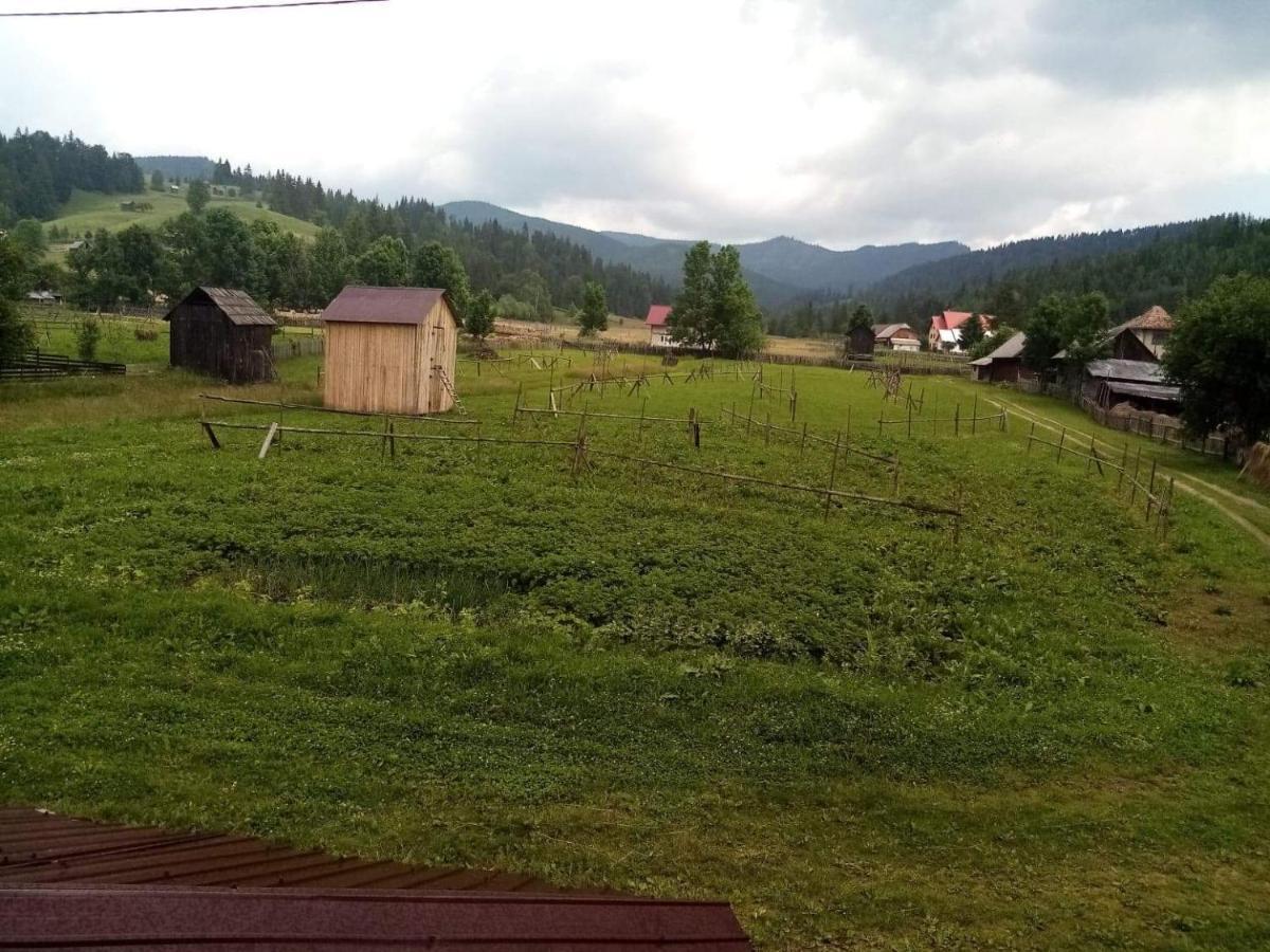 Casa Ionescu Hotel Sadova  Buitenkant foto