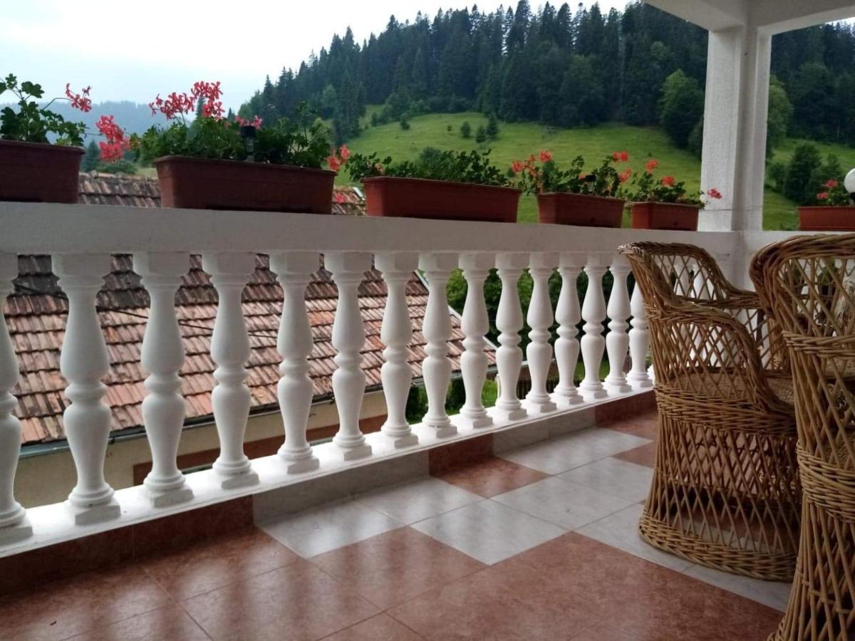 Casa Ionescu Hotel Sadova  Buitenkant foto
