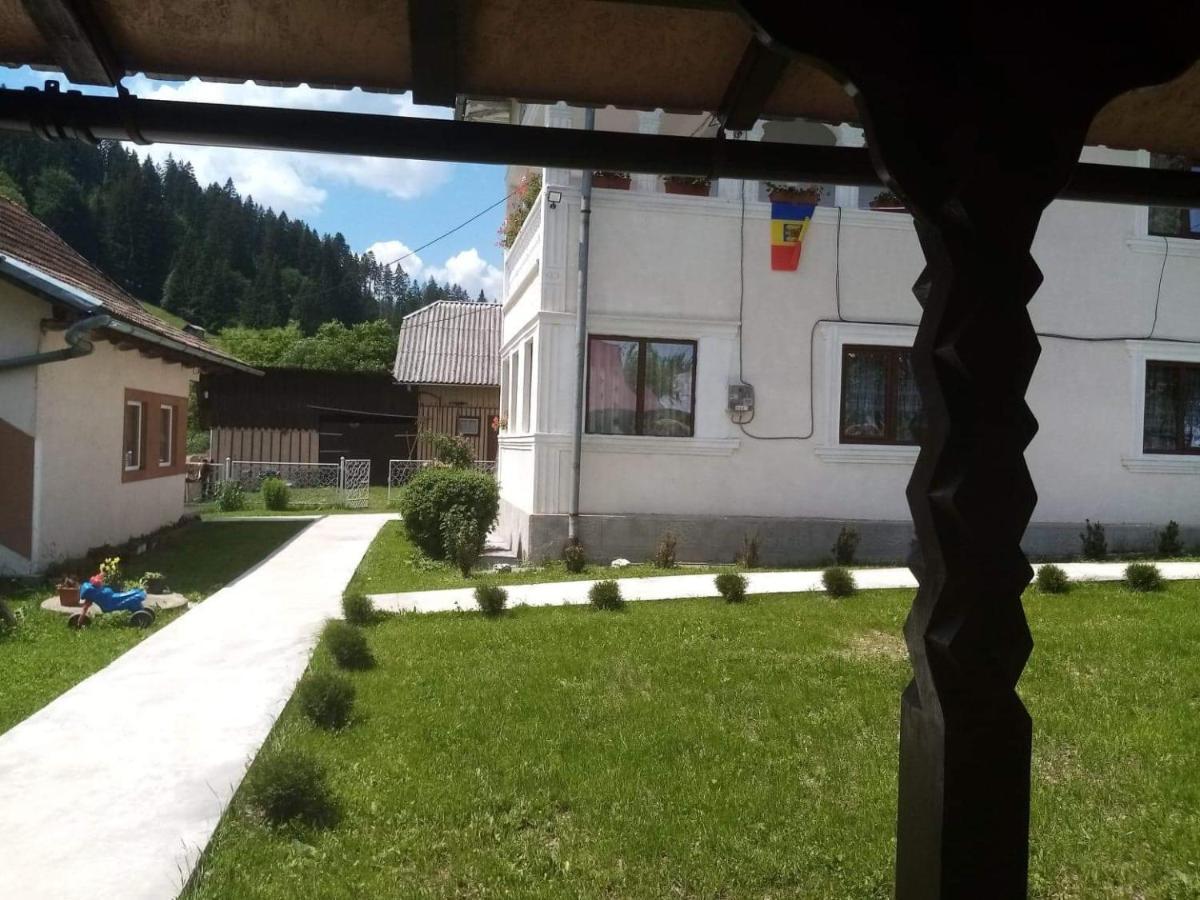 Casa Ionescu Hotel Sadova  Buitenkant foto