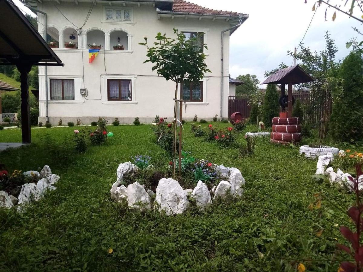 Casa Ionescu Hotel Sadova  Buitenkant foto