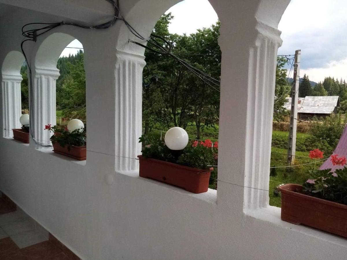 Casa Ionescu Hotel Sadova  Buitenkant foto