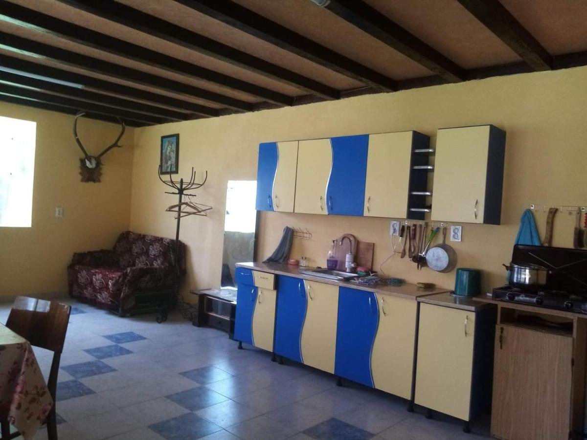 Casa Ionescu Hotel Sadova  Buitenkant foto