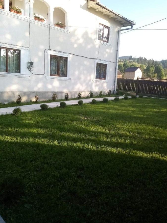 Casa Ionescu Hotel Sadova  Buitenkant foto