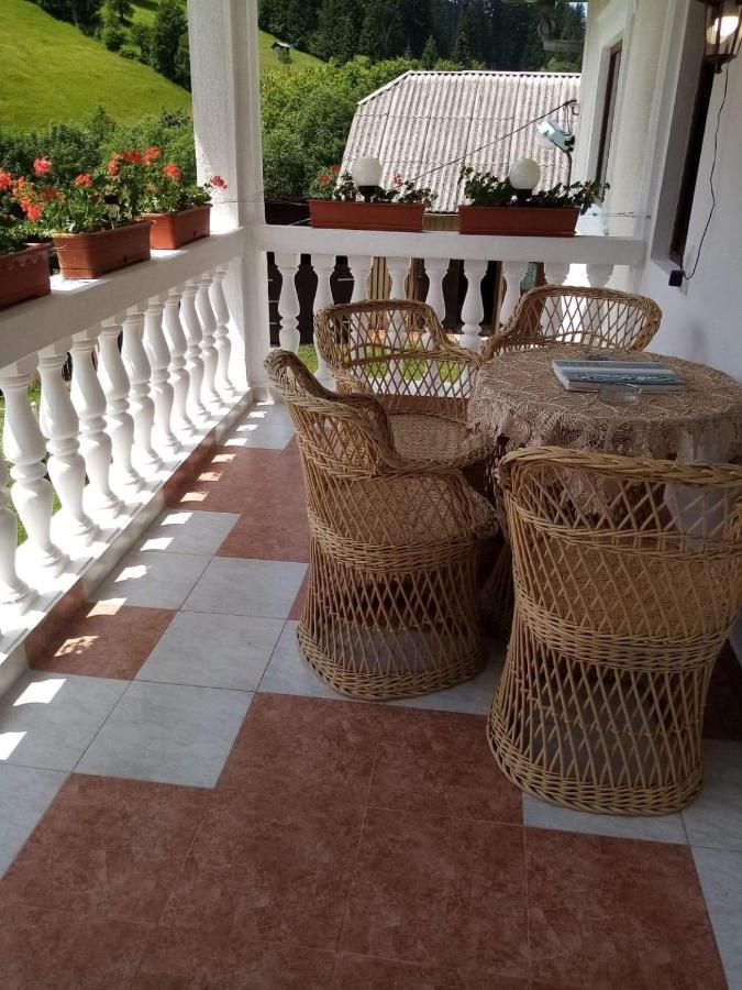 Casa Ionescu Hotel Sadova  Buitenkant foto