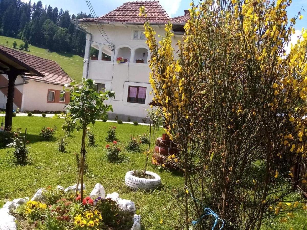 Casa Ionescu Hotel Sadova  Buitenkant foto
