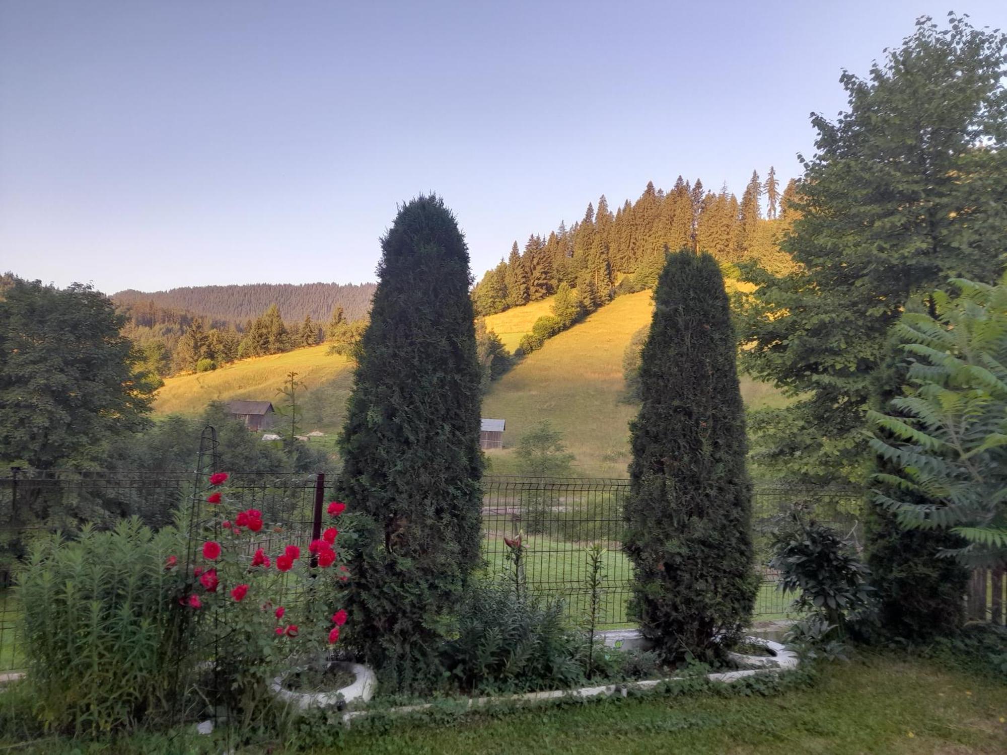 Casa Ionescu Hotel Sadova  Buitenkant foto