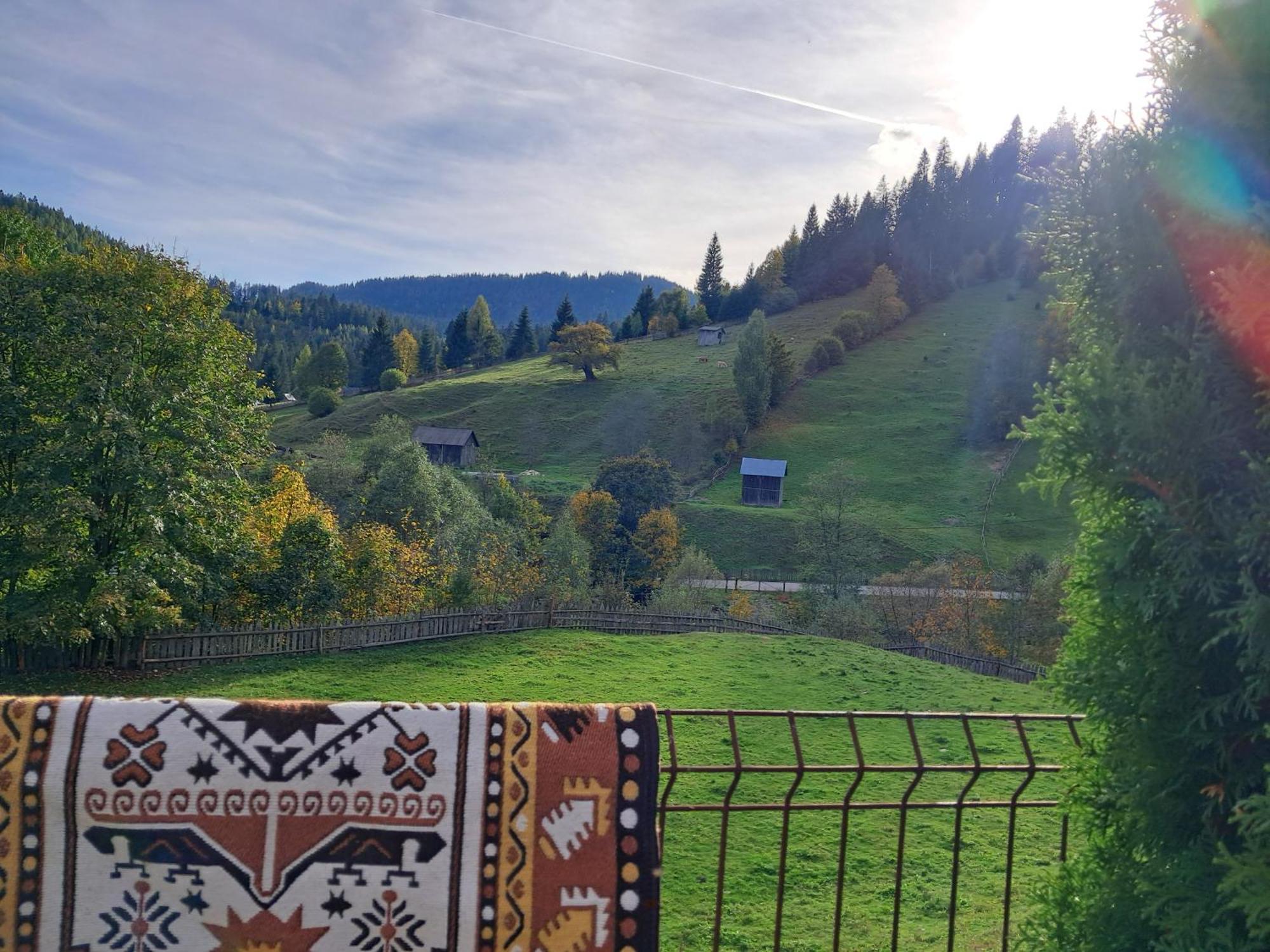 Casa Ionescu Hotel Sadova  Kamer foto