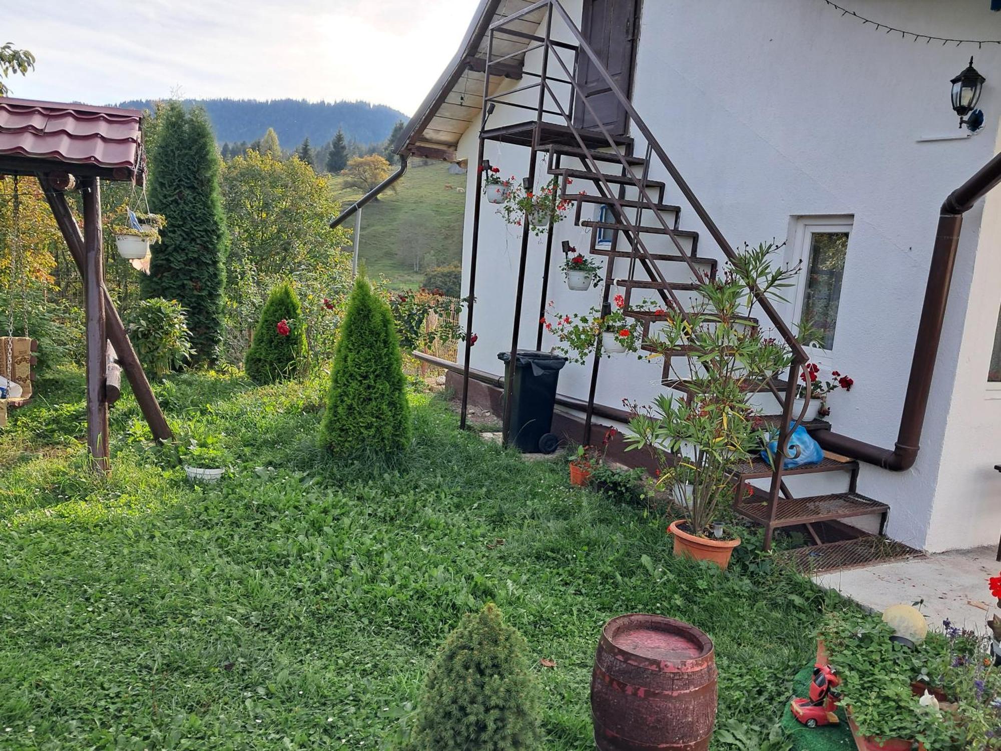 Casa Ionescu Hotel Sadova  Kamer foto
