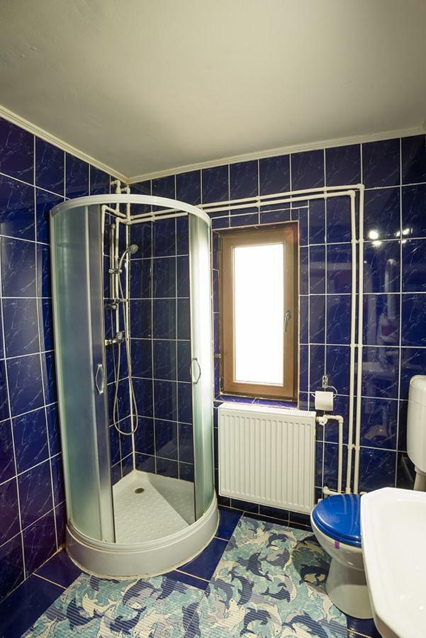 Casa Ionescu Hotel Sadova  Buitenkant foto
