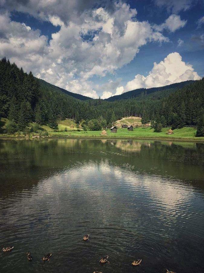 Casa Ionescu Hotel Sadova  Buitenkant foto