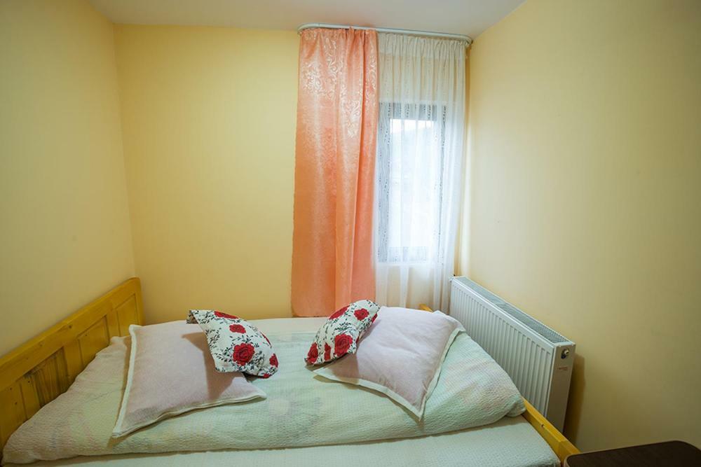 Casa Ionescu Hotel Sadova  Buitenkant foto