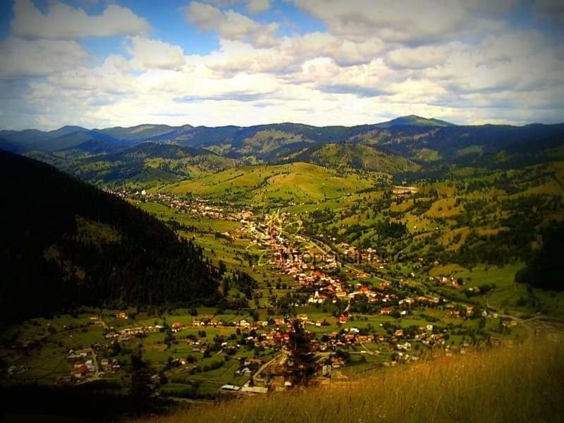 Casa Ionescu Hotel Sadova  Buitenkant foto